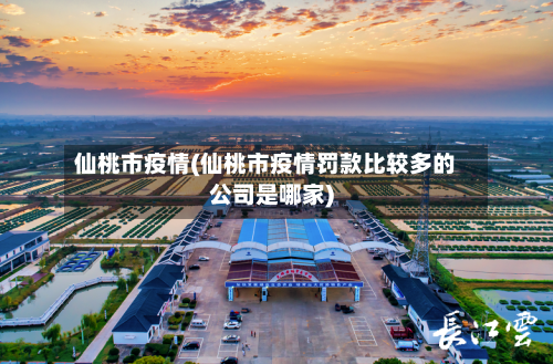 仙桃市疫情(仙桃市疫情罚款比较多的公司是哪家)-第2张图片