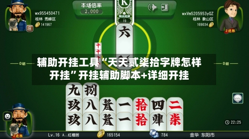 辅助开挂工具“天天贰柒拾字牌怎样开挂	”开挂辅助脚本+详细开挂-第2张图片