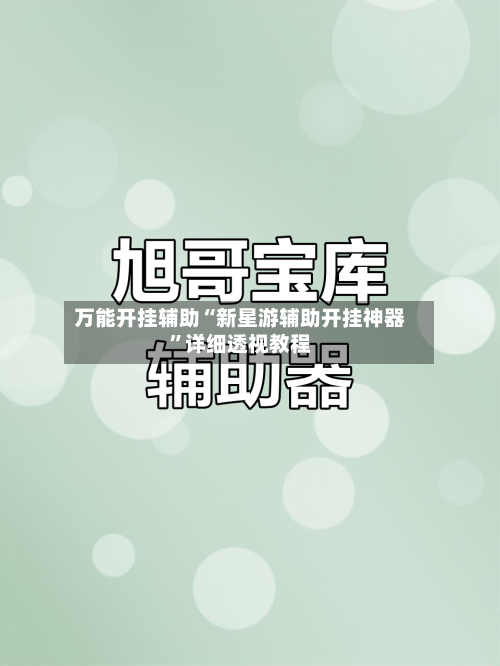 万能开挂辅助“新星游辅助开挂神器”详细透视教程-第1张图片