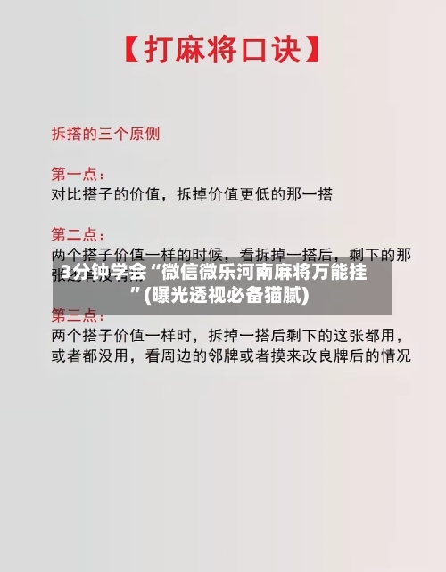 3分钟学会“微信微乐河南麻将万能挂	”(曝光透视必备猫腻)-第2张图片