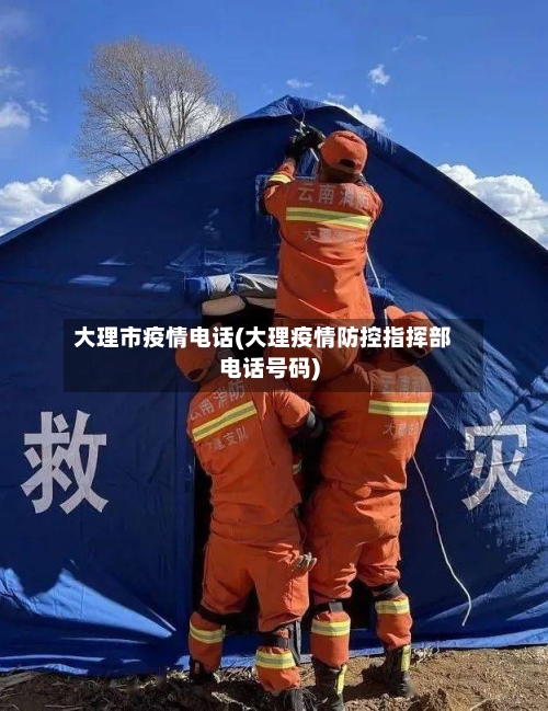 大理市疫情电话(大理疫情防控指挥部电话号码)-第2张图片