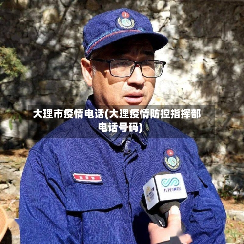 大理市疫情电话(大理疫情防控指挥部电话号码)-第3张图片