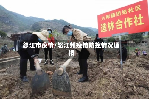 怒江市疫情/怒江州疫情防控情况通报-第1张图片