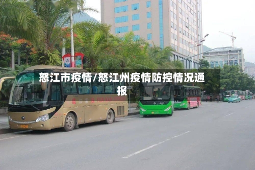 怒江市疫情/怒江州疫情防控情况通报-第3张图片