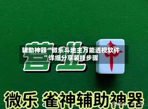辅助神器“微乐斗地主万能透视软件”详细分享装挂步骤-第3张图片