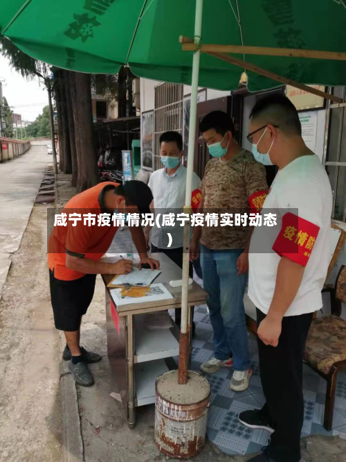 咸宁市疫情情况(咸宁疫情实时动态)-第2张图片