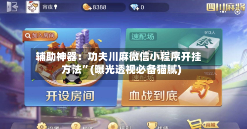 辅助神器：功夫川麻微信小程序开挂方法	”(曝光透视必备猫腻)-第2张图片