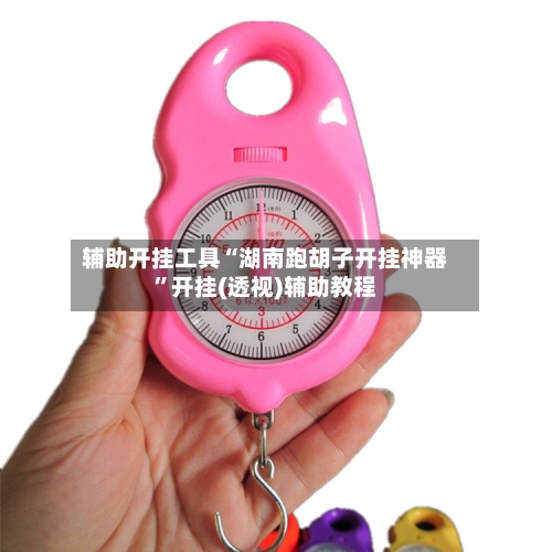 辅助开挂工具“湖南跑胡子开挂神器	”开挂(透视)辅助教程-第1张图片