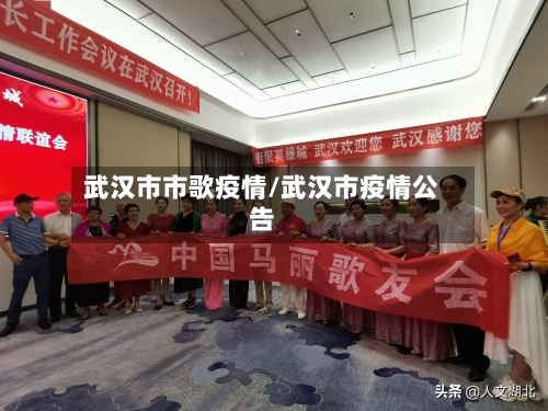 武汉市市歌疫情/武汉市疫情公告-第3张图片