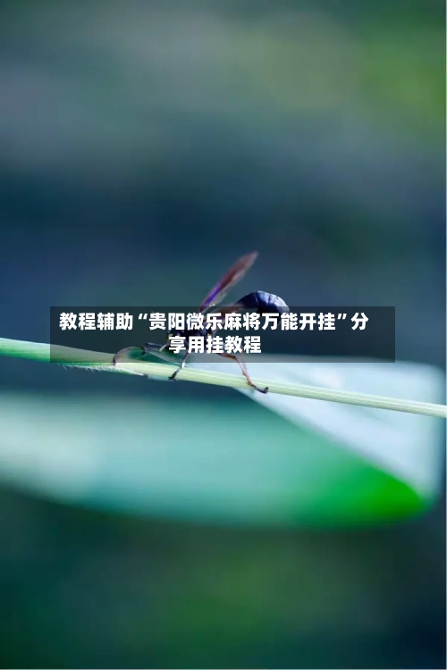 教程辅助“贵阳微乐麻将万能开挂	”分享用挂教程-第2张图片