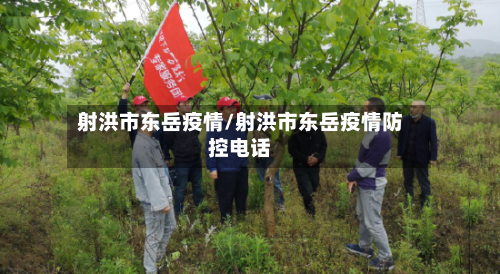 射洪市东岳疫情/射洪市东岳疫情防控电话-第1张图片