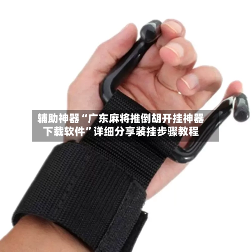 辅助神器“广东麻将推倒胡开挂神器下载软件	”详细分享装挂步骤教程-第2张图片