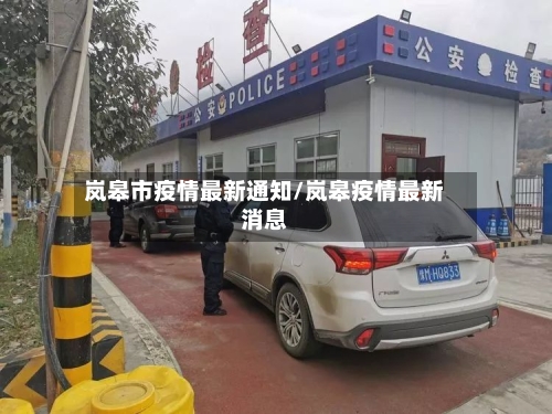 岚皋市疫情最新通知/岚皋疫情最新消息-第1张图片