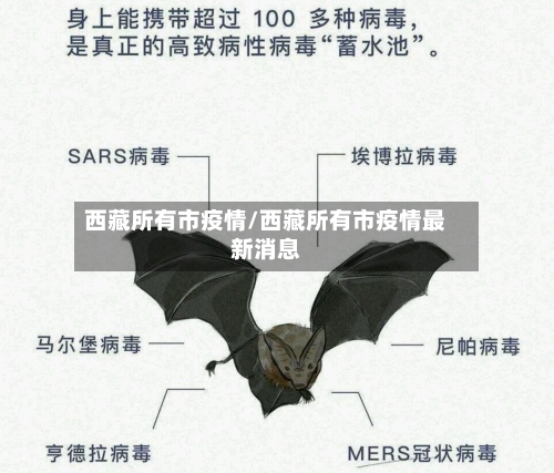 西藏所有市疫情/西藏所有市疫情最新消息-第1张图片