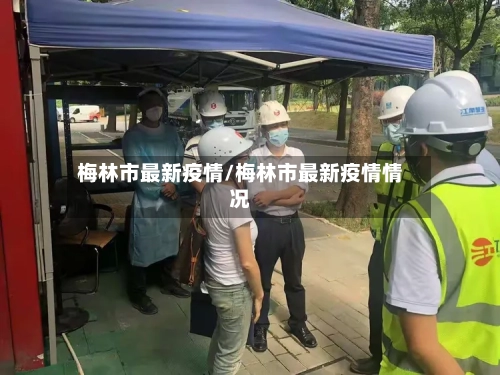 梅林市最新疫情/梅林市最新疫情情况-第2张图片