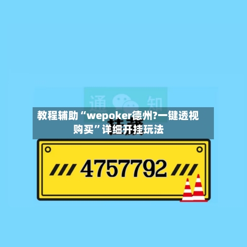 教程辅助“wepoker德州?一键透视购买”详细开挂玩法-第2张图片