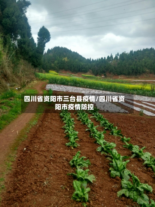 四川省资阳市三台县疫情/四川省资阳市疫情防控-第1张图片