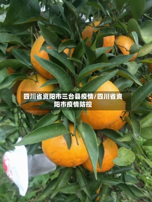四川省资阳市三台县疫情/四川省资阳市疫情防控-第2张图片