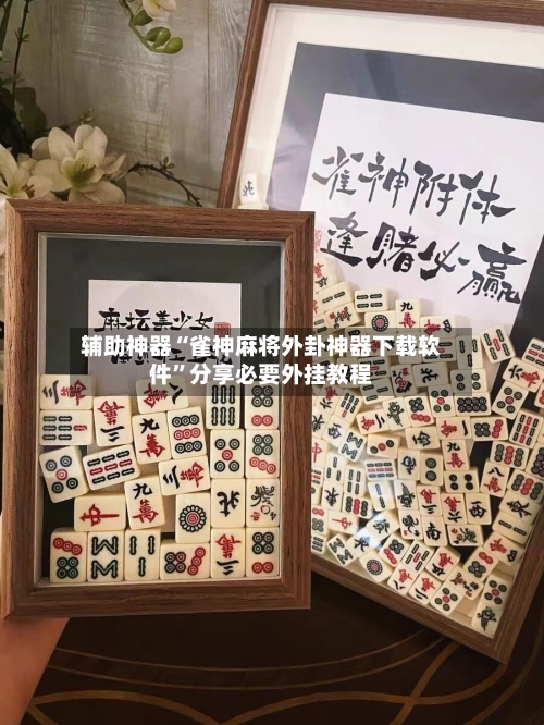 辅助神器“雀神麻将外卦神器下载软件”分享必要外挂教程-第2张图片
