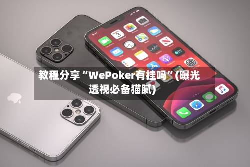 教程分享“WePoker有挂吗”(曝光透视必备猫腻)-第1张图片