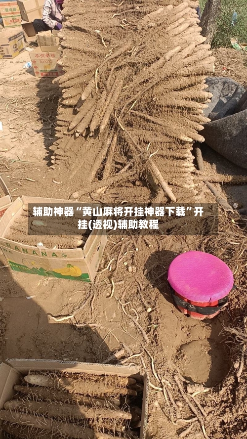 辅助神器“黄山麻将开挂神器下载”开挂(透视)辅助教程-第1张图片