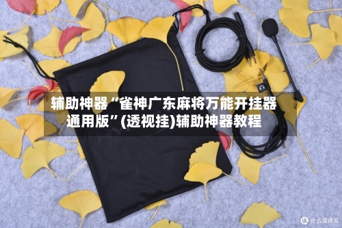 辅助神器“雀神广东麻将万能开挂器通用版”(透视挂)辅助神器教程-第2张图片