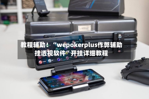 教程辅助！“wepokerplus作弊辅助挂透视软件”开挂详细教程-第3张图片