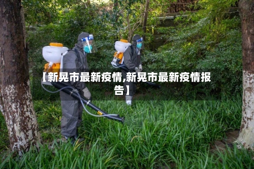 【新晃市最新疫情,新晃市最新疫情报告】-第2张图片