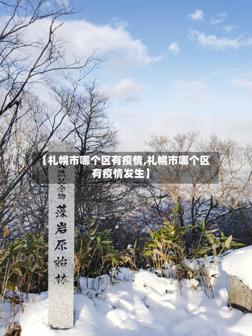 【札幌市哪个区有疫情,札幌市哪个区有疫情发生】-第2张图片