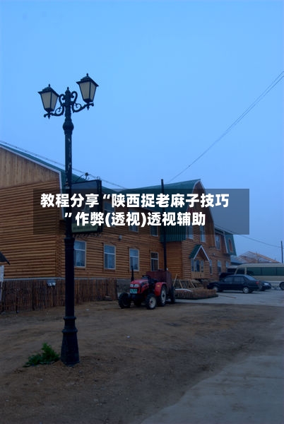 教程分享“陕西捉老麻子技巧”作弊(透视)透视辅助-第3张图片