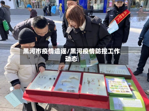 黑河市疫情造谣/黑河疫情防控工作动态-第1张图片