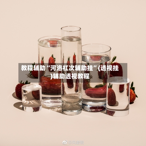 教程辅助“河洛杠次辅助挂”(透视挂)辅助透视教程-第2张图片