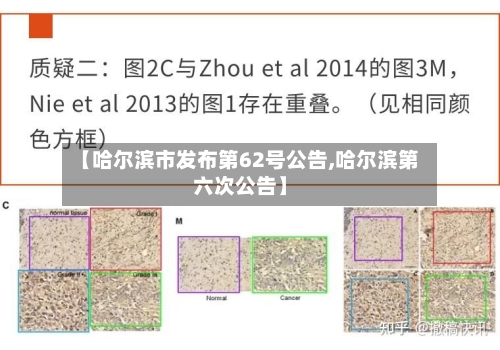 【哈尔滨市发布第62号公告,哈尔滨第六次公告】-第2张图片