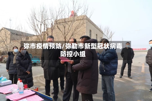 弥市疫情预防/弥勒市新型冠状病毒防控小组-第2张图片