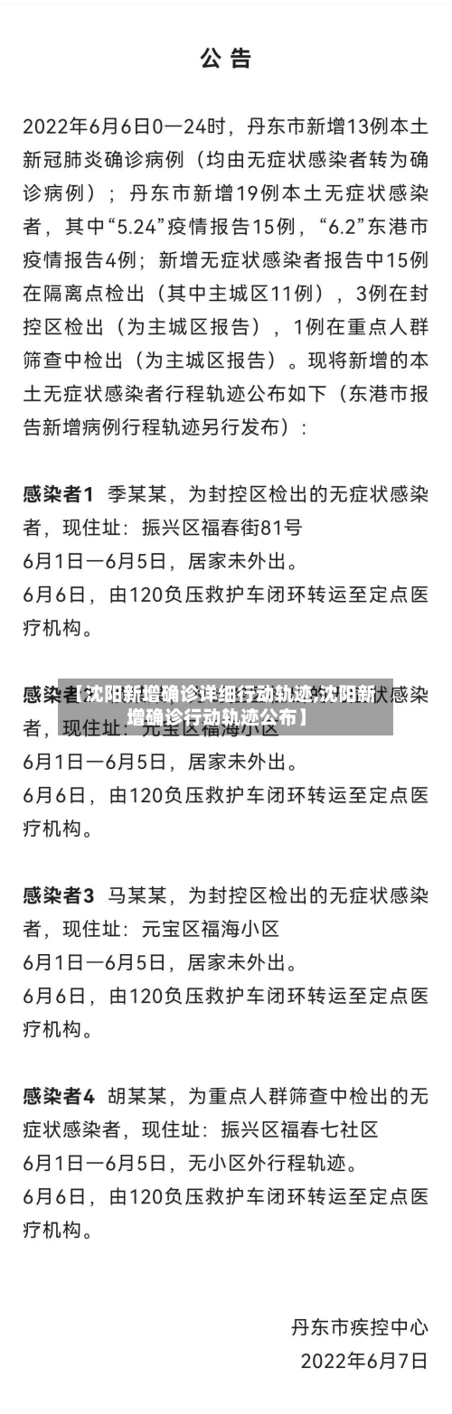 【沈阳新增确诊详细行动轨迹,沈阳新增确诊行动轨迹公布】-第2张图片