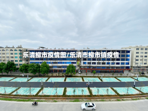乐清柳市疫情图/乐清市柳市镇疫情-第3张图片