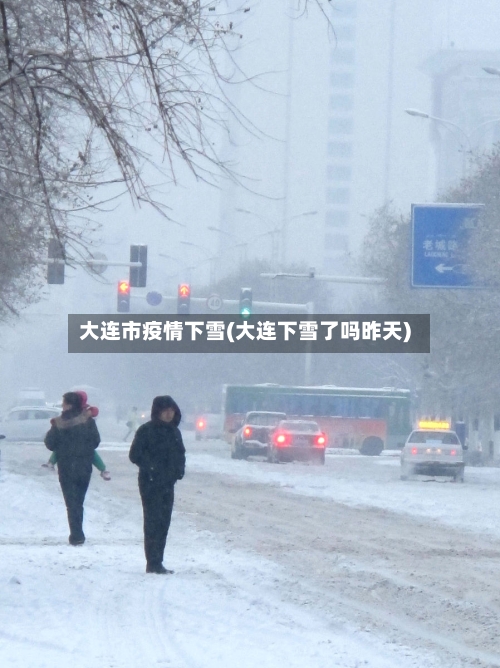 大连市疫情下雪(大连下雪了吗昨天)-第1张图片