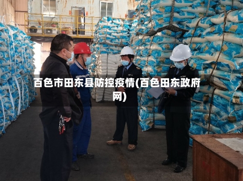 百色市田东县防控疫情(百色田东政府网)-第1张图片