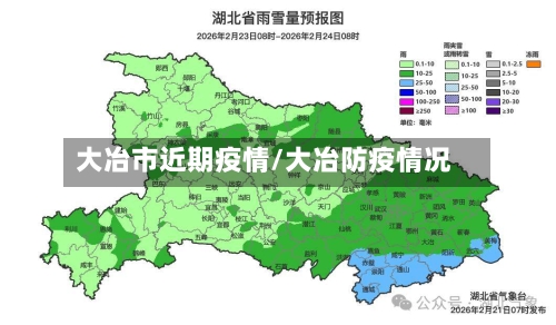 大冶市近期疫情/大冶防疫情况-第2张图片