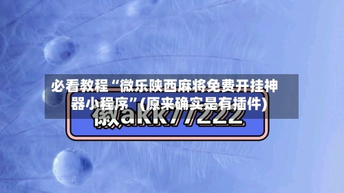 必看教程“微乐陕西麻将免费开挂神器小程序”(原来确实是有插件)-第2张图片