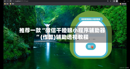 推荐一款“微信干瞪眼小程序辅助器”(作弊)辅助透视教程-第1张图片