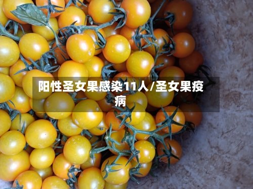 阳性圣女果感染11人/圣女果疫病-第2张图片