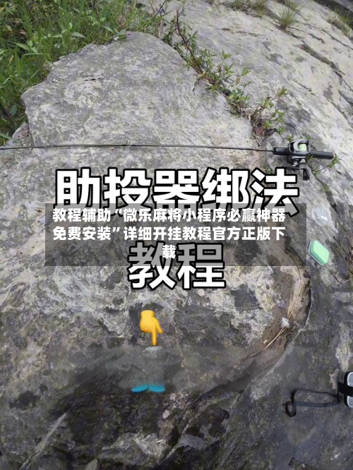 教程辅助“微乐麻将小程序必赢神器免费安装	”详细开挂教程官方正版下载-第3张图片