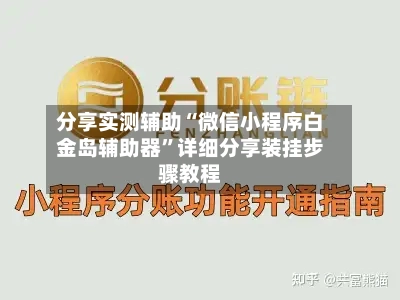 分享实测辅助“微信小程序白金岛辅助器	”详细分享装挂步骤教程-第2张图片
