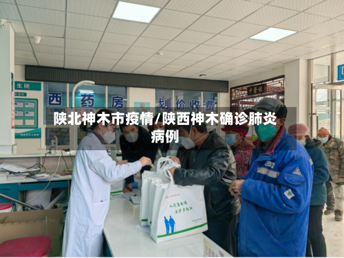 陕北神木市疫情/陕西神木确诊肺炎病例-第3张图片