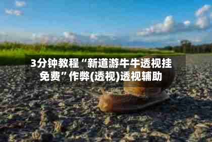 3分钟教程“新道游牛牛透视挂免费”作弊(透视)透视辅助-第1张图片