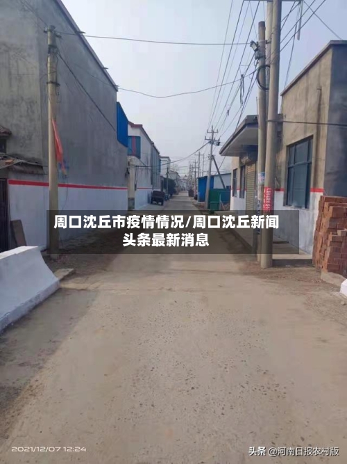 周口沈丘市疫情情况/周口沈丘新闻头条最新消息-第2张图片