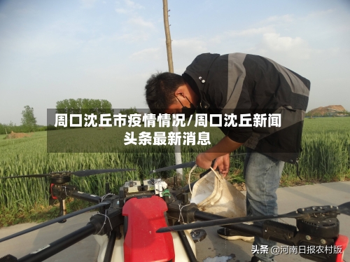 周口沈丘市疫情情况/周口沈丘新闻头条最新消息-第1张图片