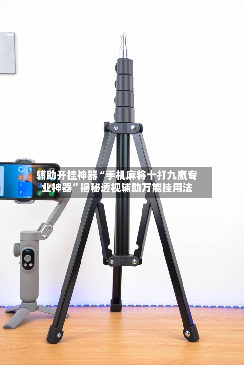 辅助开挂神器“手机麻将十打九赢专业神器”揭秘透视辅助万能挂用法-第2张图片