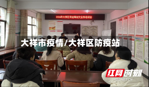 大祥市疫情/大祥区防疫站-第1张图片